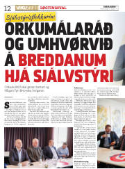 Síða 12