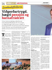 Síða 14