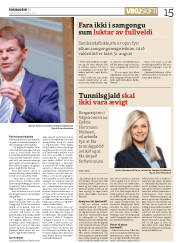 Síða 15