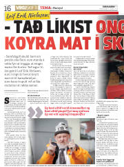Síða 16