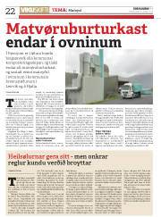 Síða 22