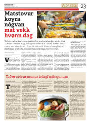Síða 23