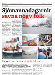 Síða 8