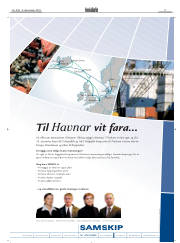 Síða 17