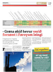Síða 17