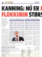 Síða 30