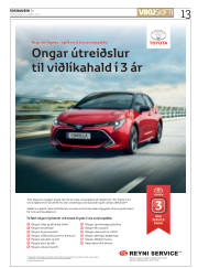 Síða 41