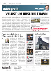 Síða 2