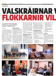 Síða 8