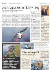 Síða 10