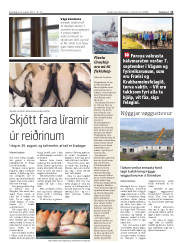 Síða 11