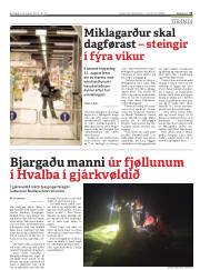 Síða 15