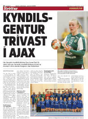 Síða 20