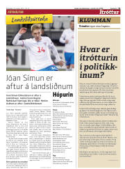 Síða 31
