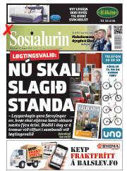 Síða 3