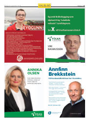 Síða 43