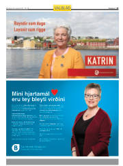 Síða 45