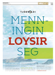 Síða 11