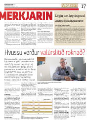 Síða 17