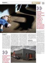 Síða 21