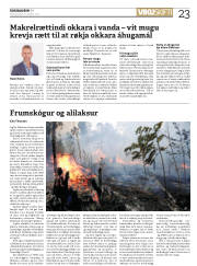 Síða 23