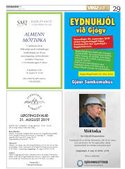 Síða 29