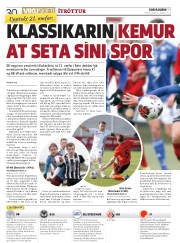 Síða 30