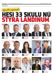 Síða 8