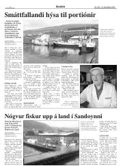 Síða 8