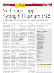 Síða 17