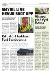 Síða 6