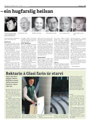 Síða 13