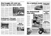 Síða 3