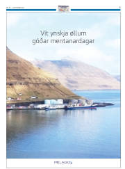 Síða 35