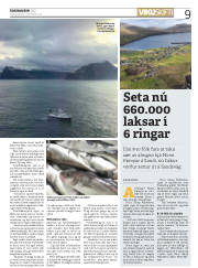Síða 9