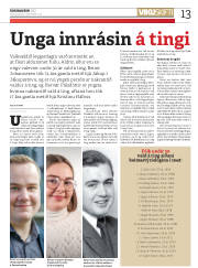 Síða 13