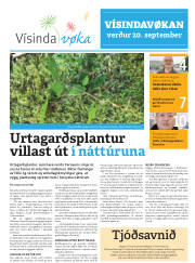 Síða 29