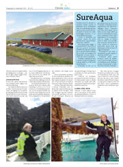 Síða 37