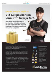 Síða 40
