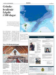 Síða 17