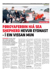 Síða 3