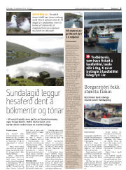 Síða 9