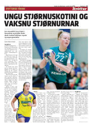 Síða 13
