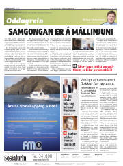 Síða 2