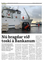 Síða 8