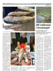 Síða 9