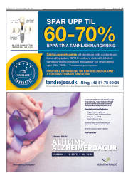 Síða 17