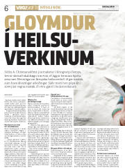 Síða 6