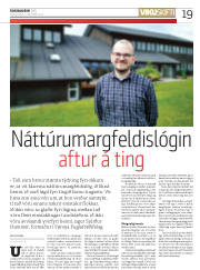 Síða 19