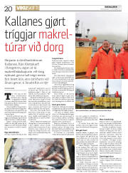Síða 20